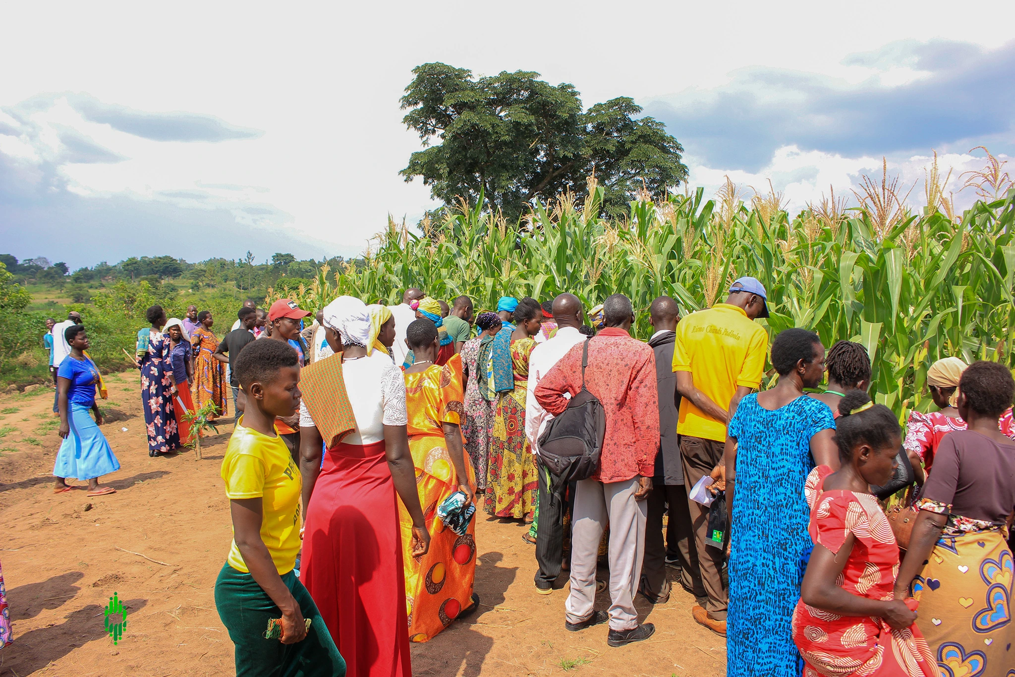 4th Annual Gathering