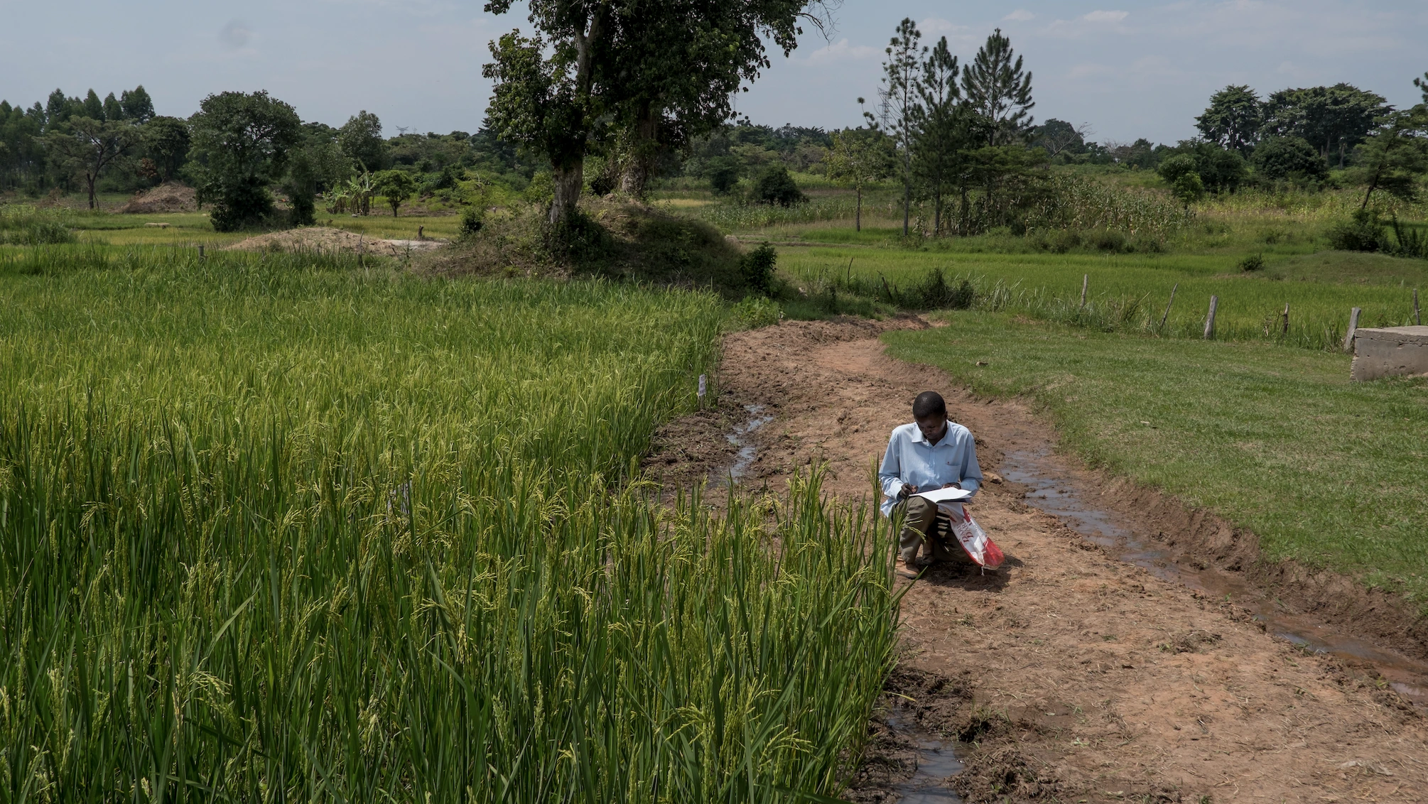 a812bb2296fa55b74a104e3e670082a8174adadd